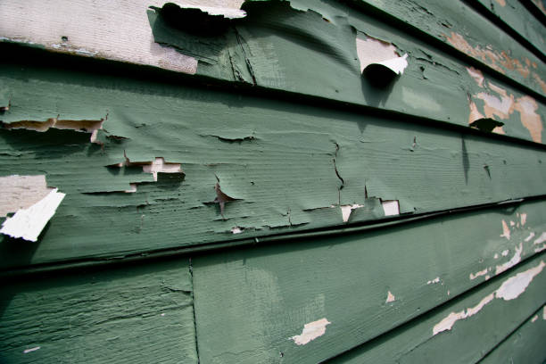 Professional Junk Removal in Cheboygan, MI