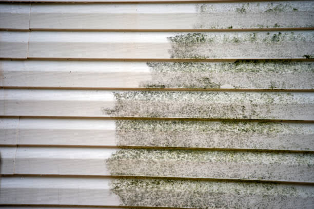 Best Hoarding Cleanup  in Cheboygan, MI