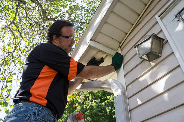 Best Yard Waste Removal  in Cheboygan, MI